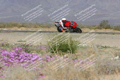 media/Feb-04-2023-SoCal Trackdays (Sat) [[8a776bf2c3]]/Turn 15 Inside Blooming (1050am)/